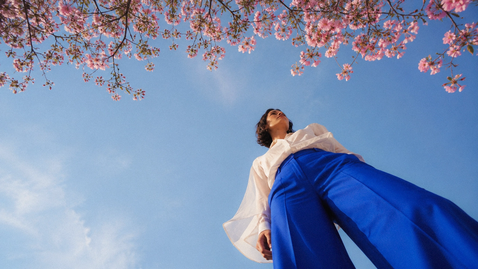 Foto original SUBA: modelo de calça azul sob flores e céu azul